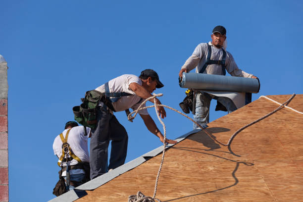 Best Roof Repair Services  in Mount Airy, GA